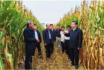 履职担使命 实干谱新篇10