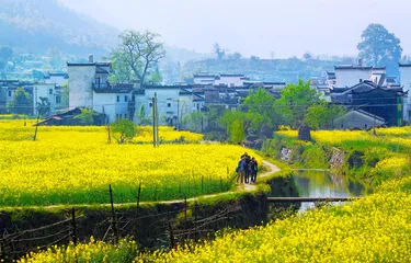 乡村振兴背景下县域移风易俗的路径思考