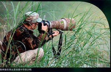 深山里的绿色生态守护者