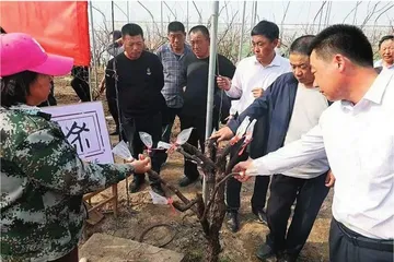 以实干实绩展现新担当新作为10
