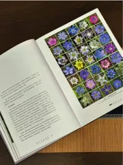 将科普、诗、远方、龙胆花打包送给你2