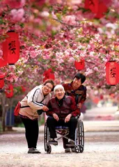 文化赋能， 打造乡村旅游新场景