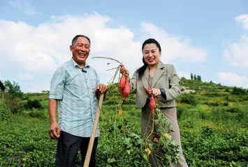 土地里长出的甜蜜