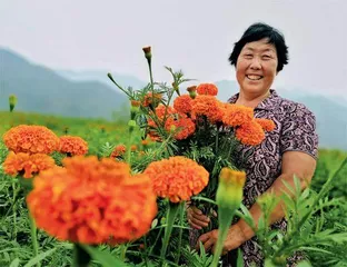 乡村振兴“我”带头