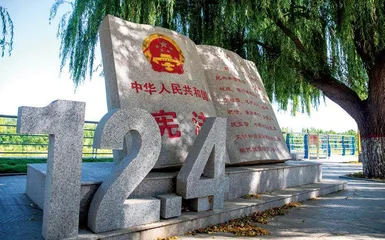 利津：法治伴民同行 点亮美好生活