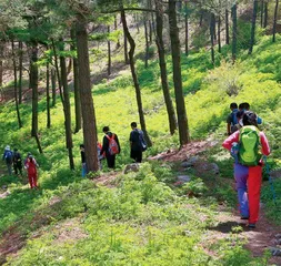 徒步，赴一场山野惊喜之约