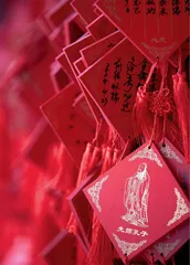 “保护者说”