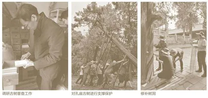 保护文物安全　涵养文化根脉