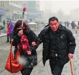 回家的路8