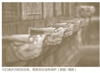 拓宽渠道，让社会力量参与到“三孔”文化遗产保护中来