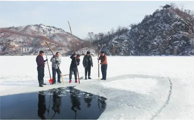 冬泳——温度与激情的碰撞6