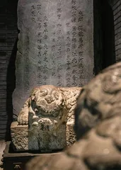 融汇古今，千年运河焕新章