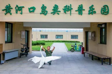 生态好不好，鸟儿最知道