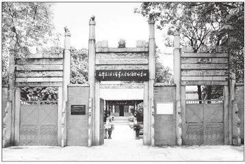 毛泽东开辟中国特色革命道路的历史考察