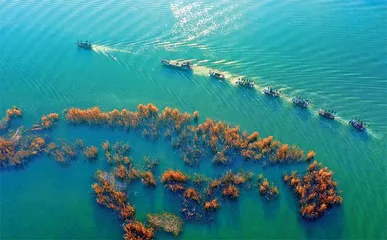 在湿地发现新世界