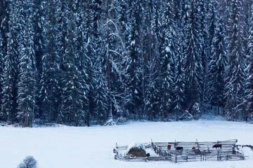 远方是银装素裹的雪国秘境