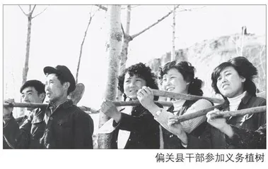 咬定青山不放松 偏头关下铸绿魂