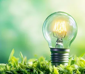 能源法：开创政策入法新模式