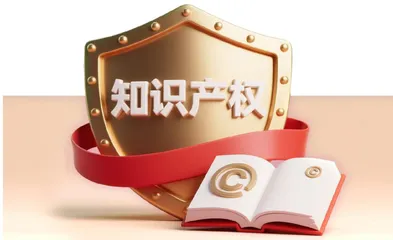 为知识产权定制“法治铠甲
