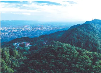缙云山“点绿成金”背后的人大担当1