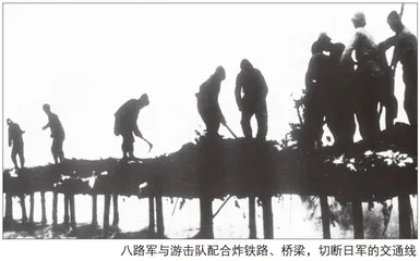 有勇有谋打破“囚笼”