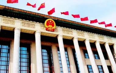 履职为民守初心笃行实干谱新篇