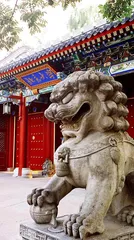 设立一批义务教育教学改革实验区