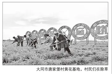 十年倾力民生，老区人民福祉得到新提升 