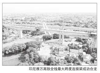丝路精神：引领“一带一路”建设的动力源泉
