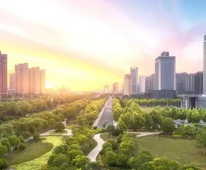 奋力开创超大城市社会工作高质量发展新局面