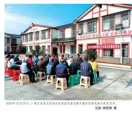 荣昌区盘龙镇人大办基层立法联系点  川渝协同立法的“前哨站”