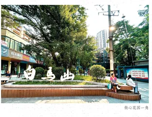 老旧小区“回春”记