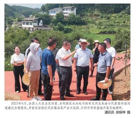 重庆代表团提出全团建议有回音 集体智慧推动重庆向“新”