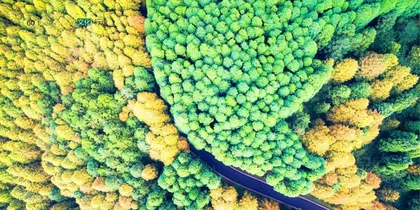 山王坪上忘青春
