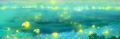 那夜的萤火虫