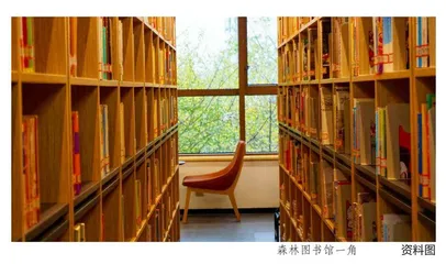 森林图书馆