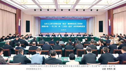 助推市委“一号工程”和“三攻坚一盘活”改革突破 举全市人大之力 打造更多标志性成果