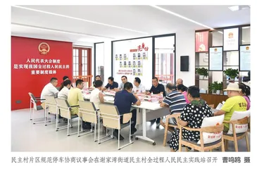 探寻民主村的民主密码