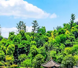 房地产市场税收新政  降低二手房交易成本