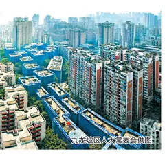探索超大城市基层治理新路径