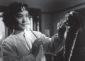 百年丹凤,一生传奇2