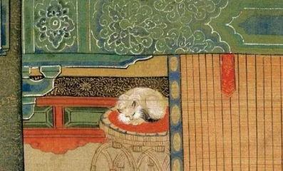 猫咪这么可爱,能有坏心思?1