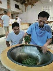 茶人故事:专心、用心、良心1