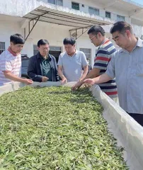 茶人故事:专心、用心、良心2