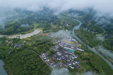 茶人故事:专心、用心、良心3