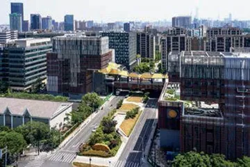 Young地标16