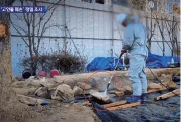 读家3