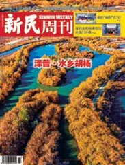 小城泽普（2024年 第43期）