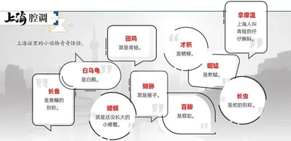 安能辨伊是何型(2024年 第42期)1