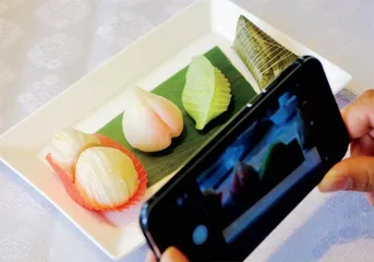 谁解园中味,不仅舌尖美4